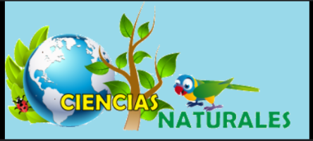 escuelitaabc14.milaulas.com